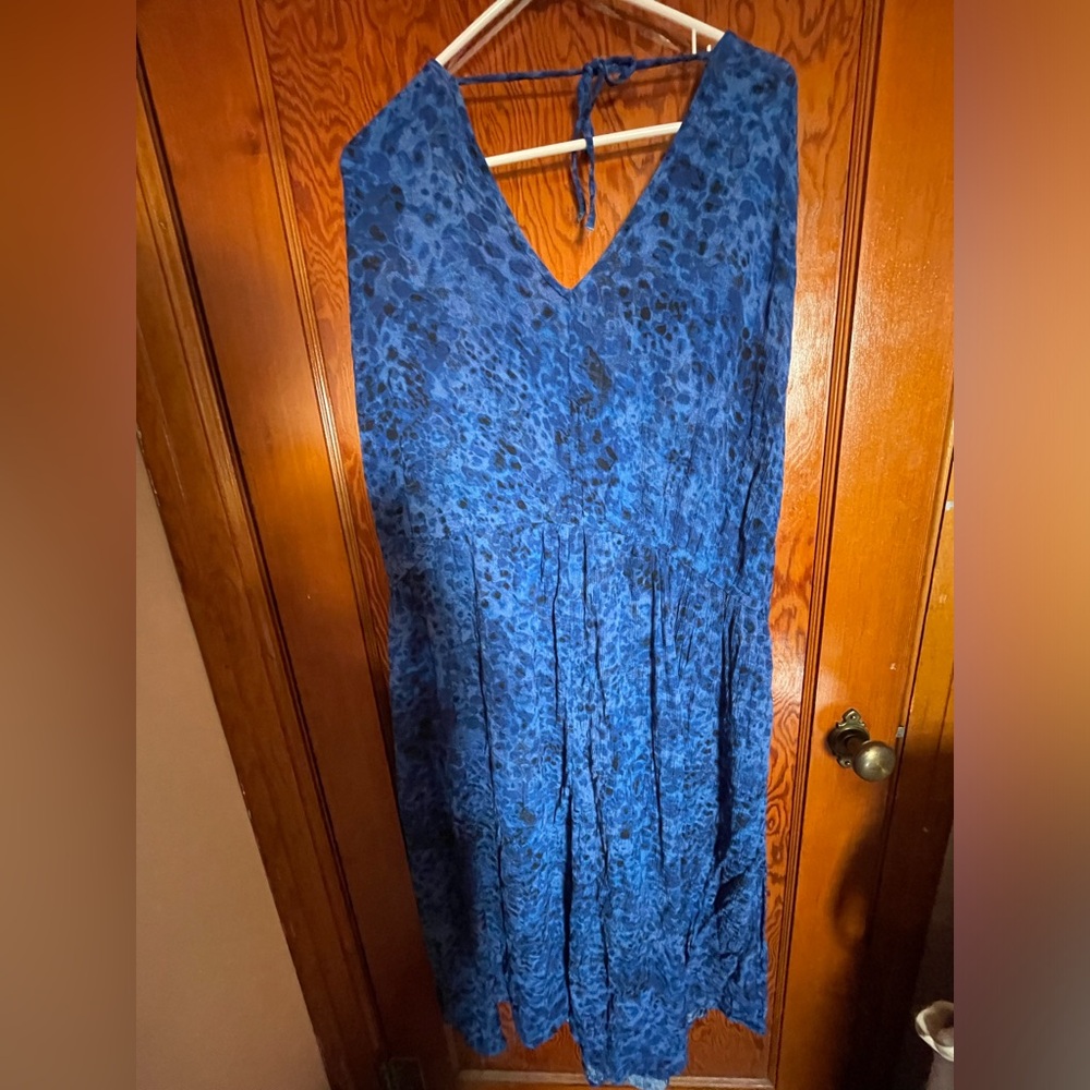 Blue Terra & Sky dress.